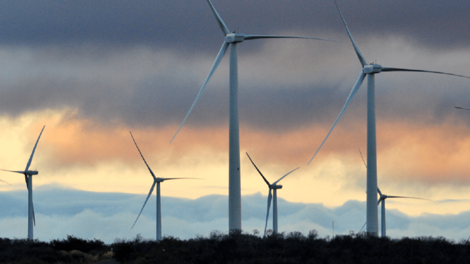 Wind turbines in a field